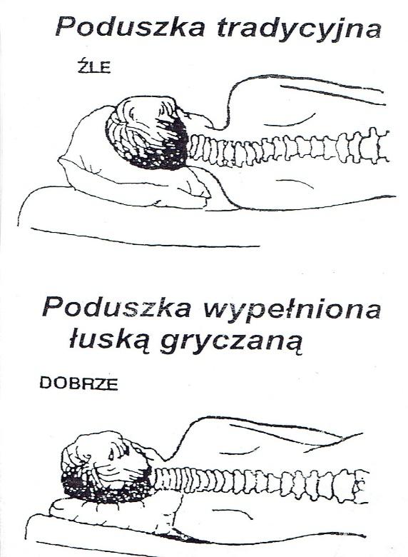 pszenica samopsza Świdnik